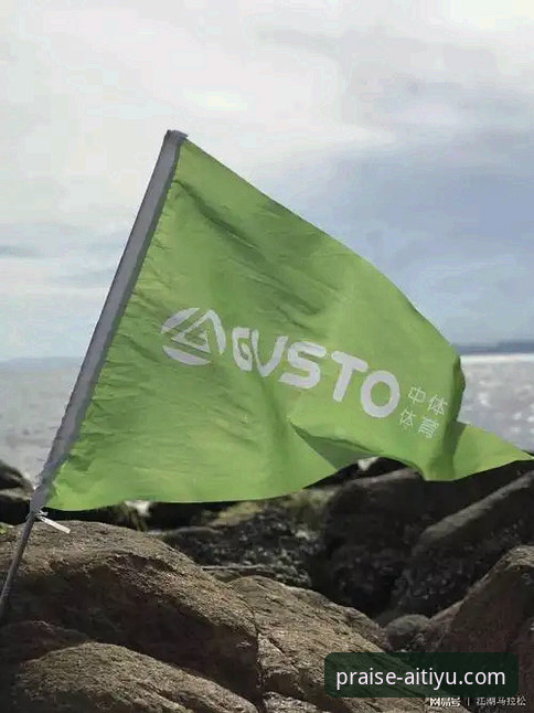 爱体育口碑平台深度评测与安全使用教程：它真的靠谱吗？