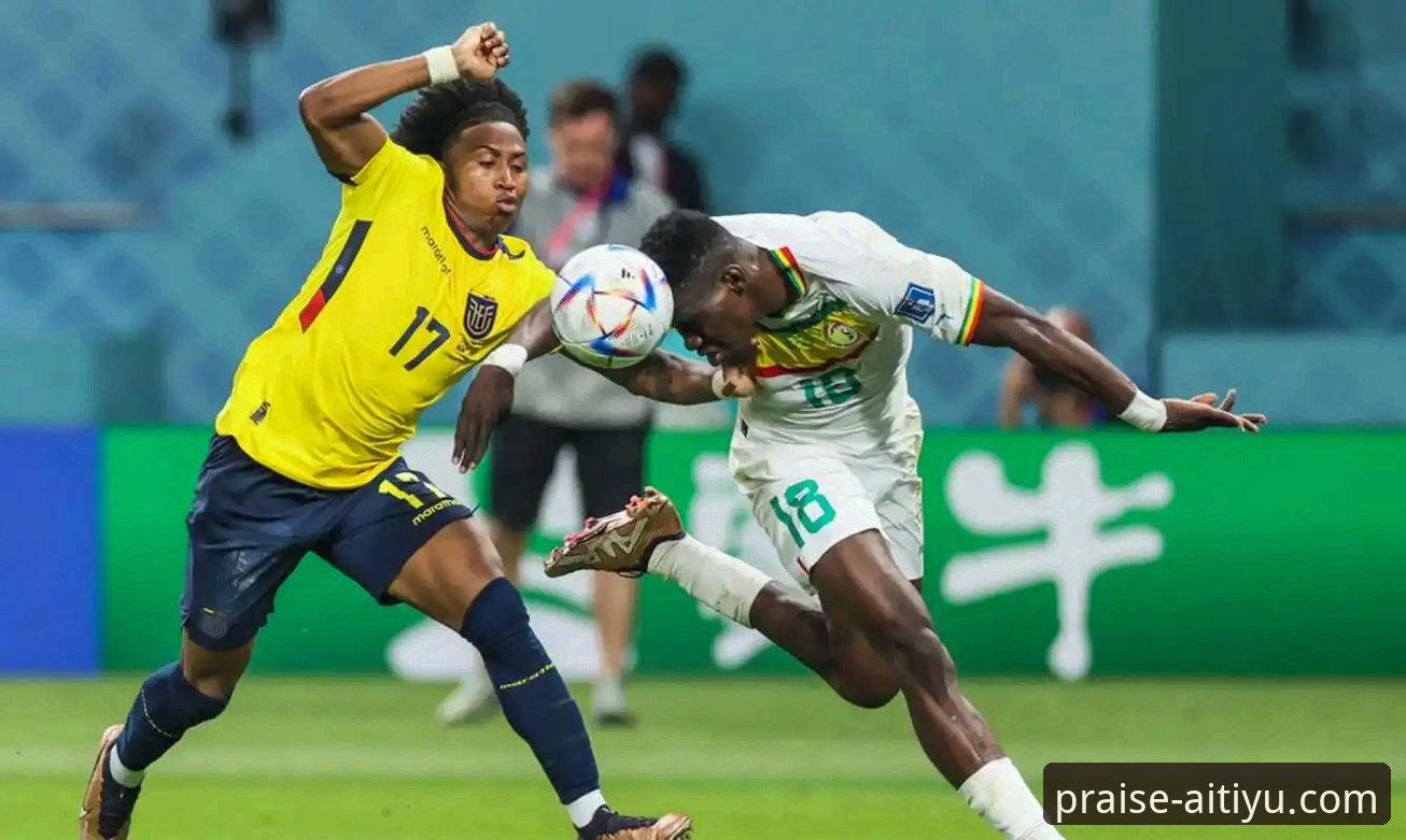 民主刚果52年圆梦世界杯绝杀之旅：爱体育口碑平台赛事直播深度评测